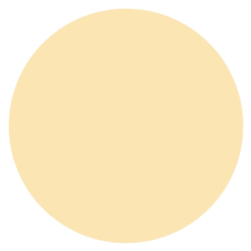 カラーパテ No.1  ナチュラル