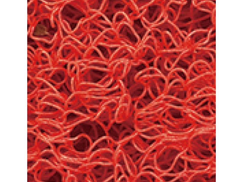 コイル歩行マット