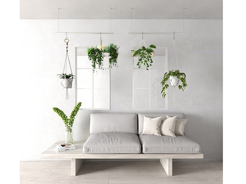 ALCOLOLO ハンガーバー