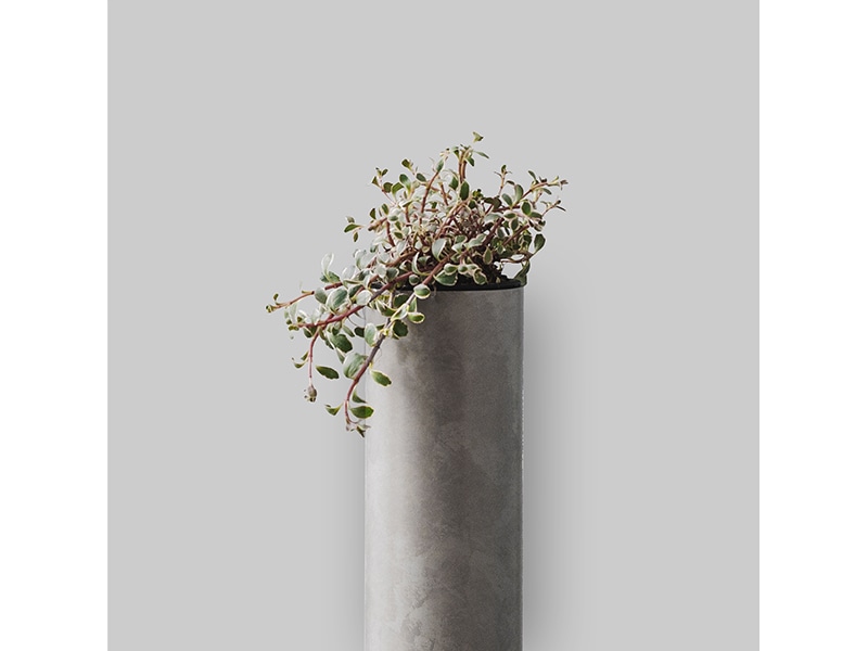 ALCOLOLO 丸柱 鉢付